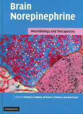 Brain Norepinephrine: Neurobiology and Therapeutics