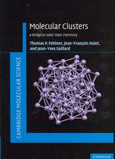 Molecular Clusters: A Bridge to Solid-State Chemistry