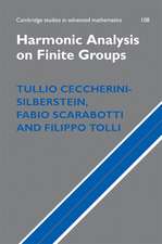 Harmonic Analysis on Finite Groups: Representation Theory, Gelfand Pairs and Markov Chains