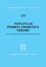 Nonlinear Perron–Frobenius Theory