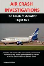 Air Crash Investigations: The Crash of Aeroflot Flight 821