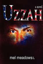 Uzzah a novel