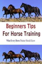 Beginners Tips for Horse Training