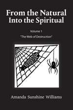 From the Natural Into the Spiritual Volume 1 the Web of Destruction