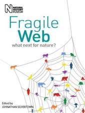 Fragile Web