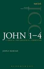 John 1-4 (ICC): A Critical and Exegetical Commentary