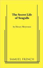 The Secret Life of Seagulls