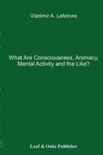 What Are Consciousness, Animacy, Mental Activity and the Like?