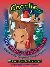 Childrens Christmas book