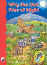 Why The Owl Flies At Night