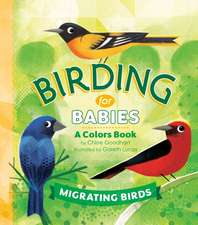 Goodhart, C: BIRDING FOR BABIES MIGRATING B