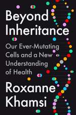 Beyond Inheritance