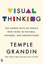 Visual Thinking