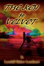 The Key to Velvet