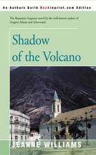 Shadow of the Volcano