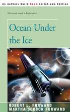 Ocean Under the Ice