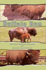 Buffalo Run