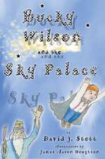 Bucky Wilson and the Sky Palace