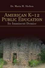 American K-12 Public Education