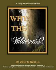 Why the Wilderness