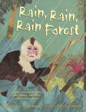 Rain, Rain, Rain Forest