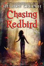 Chasing Redbird: Level 1