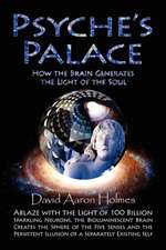 Psyche's Palace: How the Brain Generates the Light of the Soul