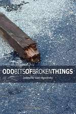 Odd Bits of Broken Things