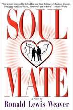 Soul Mate: Surviving the Conflict!