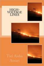 High Voltage Lines: A Steampunk Anthology