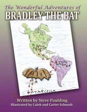 The Wonderful Adventures of Bradley the Bat: Book 2 of the Dominique Ick Lessont Series