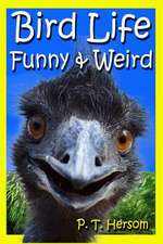 Bird Life Funny & Weird Feathered Animals