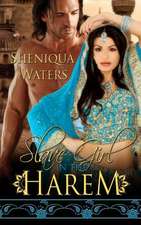 Slave Girl in the Harem