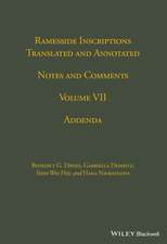 Ramesside Notes V 7