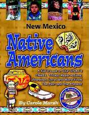 New Mexico Indians (Paperback)