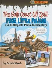 The Gulf Coast Oil Spill