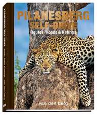 Pilanesberg Self-Drive: Routes, Roads & Ratings