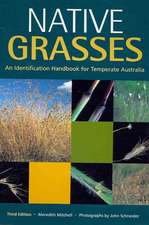 Native Grasses: 