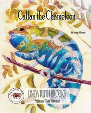 Callan the Chameleon