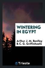 Wintering in Egypt