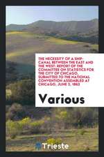 The Necessity of a Ship-Canal Between the East and the West: Report of the Committee on Statistics for the City of Chicago, Submitted to the National