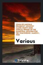 Town of Lincoln Penobcot Country Maine; Eghty-Nine Annual Report of the Municipal Officers for the Year Ending March 1, 1920