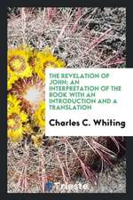 The Revelation of John; An Interpretation of the Book with an Introduction and a Translation