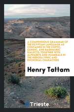 A Compendious Grammar of the Egyptian Language as Contained in the Coptic, Sahidic, and Bashmuric Dialects; Together with Alphabets and Numerals in th