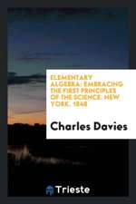 Elementary Algebra: Embracing the First Principles of the Science