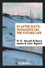 In After Days: Thoughts on the Future Life