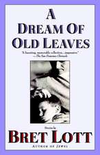 A Dream of Old Leaves