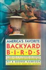 America's Favorite Backyard Birds