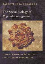 The Social Biology of Ropalidia Marginata – Toward Understanding the Evolution of Eusociality