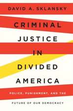 Criminal Justice in Divided America